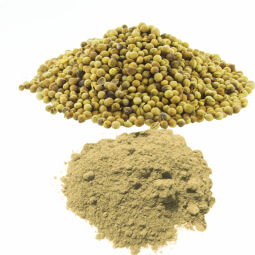 Coriander Powder