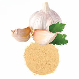Garlic powder