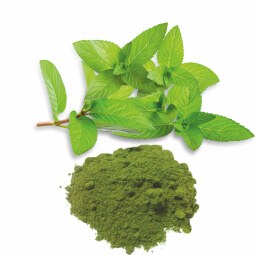 Mint Powder