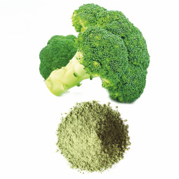 Broccoli Powder