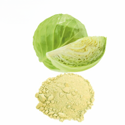 Cabbage  Powder