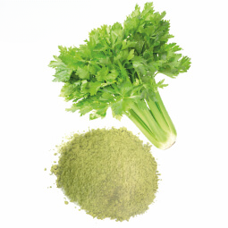 Celery Powder