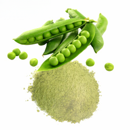 Green peas Powder