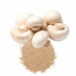 Mushroom Powder