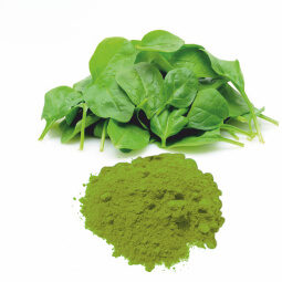 Spinach Powder