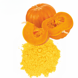 Pumpkin Powder