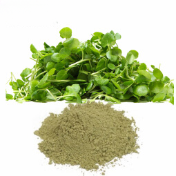 Watercress Powder