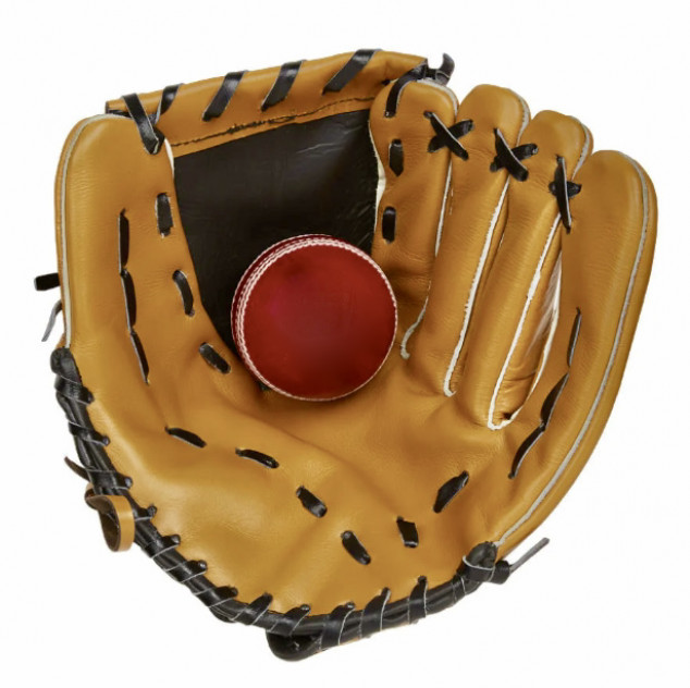 Cricket Fielding Gloves