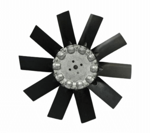 Fan