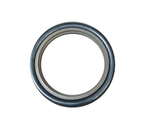 Piston Seal