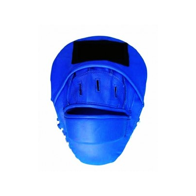 Boxing Focus Pads