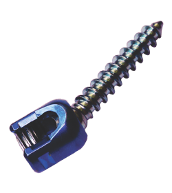 Spinal Implants & Instruments
