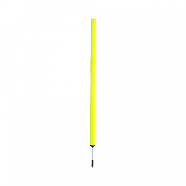 Boundary poles & Bases 