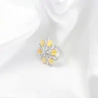 The Yellow Star