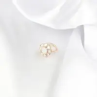The Transparent Flower